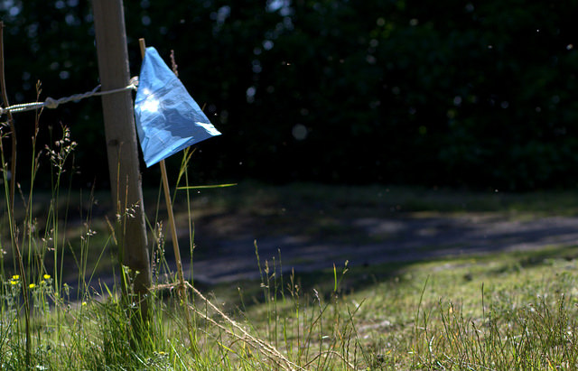 14528714982_d18d9cfd65_z