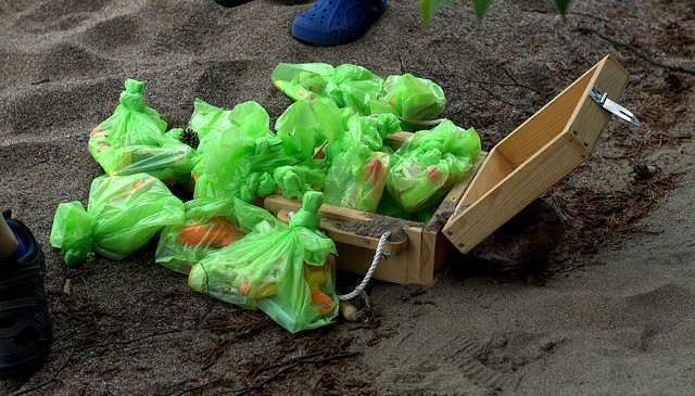 14674012184_d9072a0b31_z