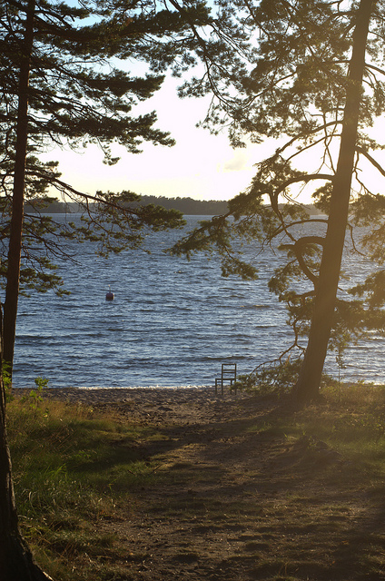 7694453262_486c36eaa8_z