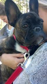 11667862_10153405853129985_71556831_n