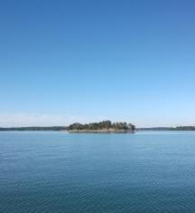 11694246_10153405853114985_589579871_n