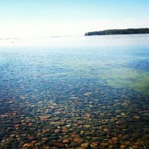 11715901_10153405853384985_1632262060_n